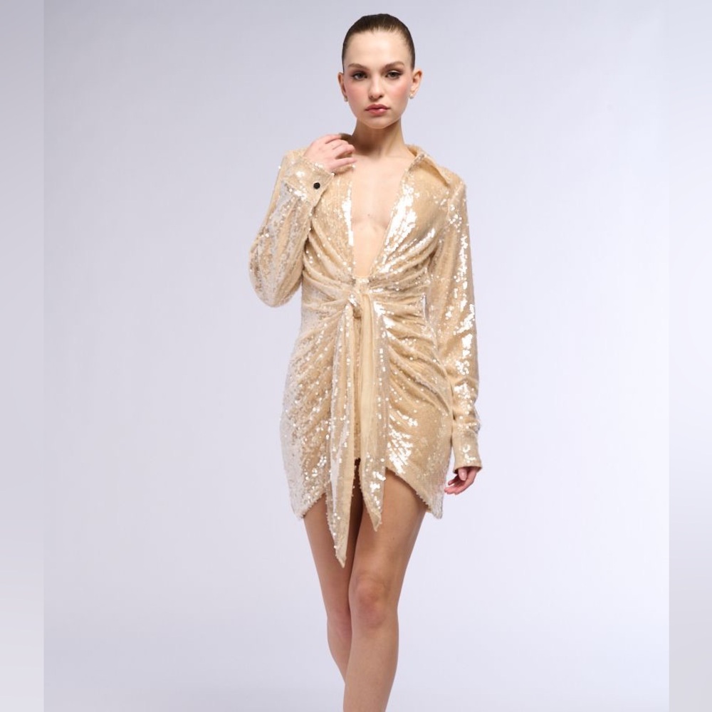 Long sleeve, plunge neck, sequin mini dress.